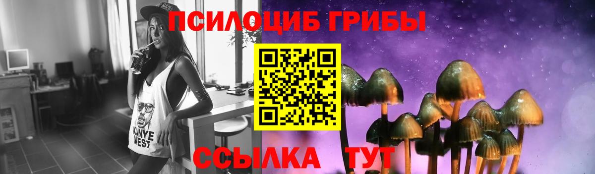 Иркутск  Галлюциногенные грибы прущие грибы  что такое наркотик  Вход с VPN 