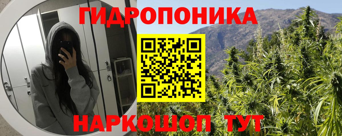 Бошки Шишки гибрид Иркутск